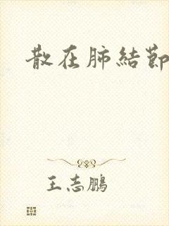 散在肺结节斑片