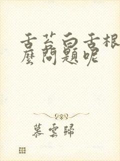 舌苔白舌根苦什么问题呢