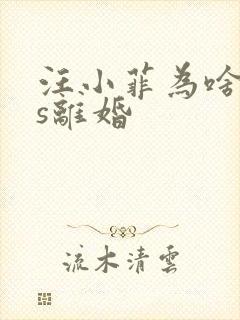 汪小菲为啥和大s离婚封面