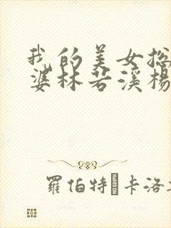 我的美女总裁老婆林若溪杨辰封面