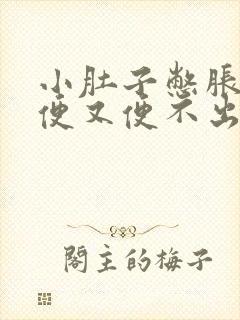 小肚子憋胀想大便又便不出什么原因