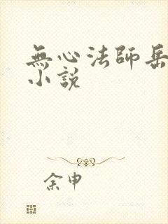 无心法师岳绮罗小说