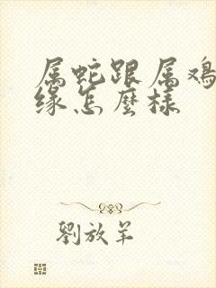 属蛇跟属鸡的姻缘怎么样封面