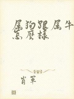 属狗跟属牛姻缘怎么样封面