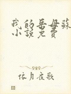 我的岳母苏沛真小说免费封面