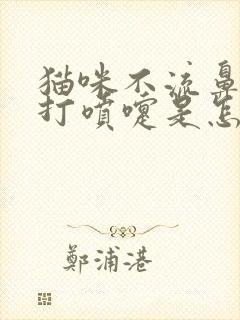 猫咪不流鼻涕就打喷嚏是怎么回事