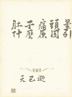 肚子痛头晕呕吐什么原因引起的