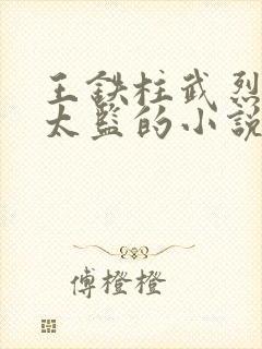 王铁柱武烈穿越太监的小说