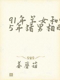 91年羊女和95年猪男相配婚姻如何封面