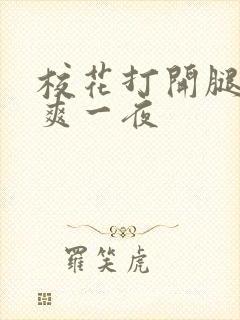 校花打开腿让我爽一夜