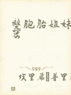 双胞胎姐妹的秘密封面