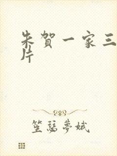 朱贺一家三口照片