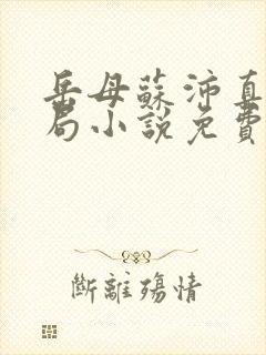 岳母苏沛真大结局小说免费阅读全文封面