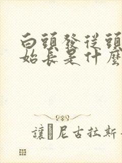 白头发从头顶开始长是什么原因