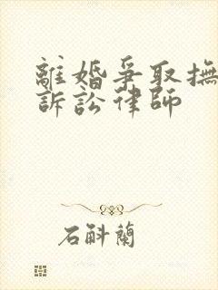 离婚争取抚养权诉讼律师