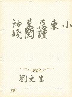 神墓辰东小说在线阅读