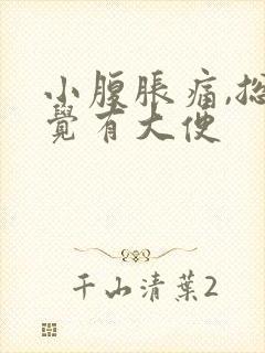 小腹胀痛,总感觉有大便