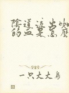 阴道流出咖啡色的血是怎么回事