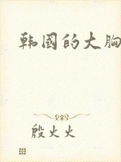 韩国的大胸女人