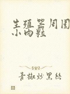 生殖器周围长出小肉粒