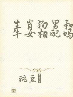 生肖狗男和生肖牛女相配吗