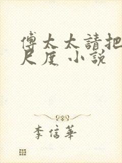 傅太太请把握好尺度 小说