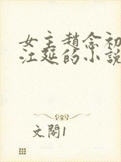 女主赵念初男主江延的小说封面