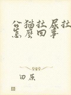 公猫拉尿拉不出怎么回事