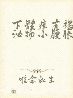 下体痒有褐色分泌物小腹胀痛封面