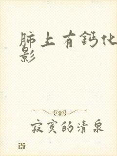 肺上有钙化结节影