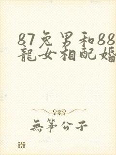 87兔男和88龙女相配婚姻