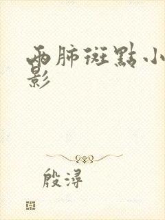 两肺斑点小结节影封面