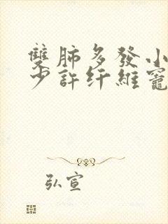 双肺多发小结节少许纤维灶