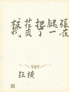 校花把腿张开让我爽了一夜