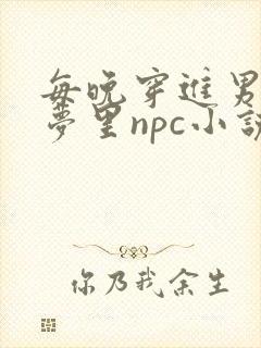 每晚穿进男神的梦里npc小说