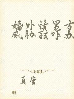 婚外情男方纠缠威胁该咋办