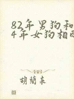 82年男狗和94年女狗相配婚姻如何