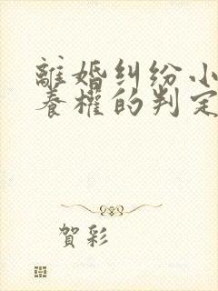 离婚纠纷小孩抚养权的判定封面