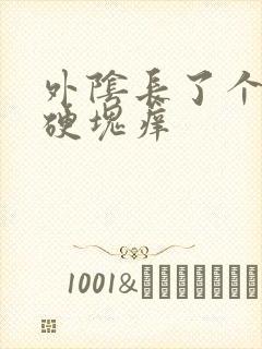 外阴长了个大痘硬块痒