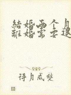 结婚两个月家暴离婚需要退彩礼吗