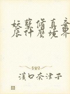 妖孽修真弃少叶辰什么境界