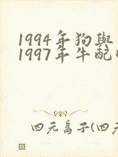 1994年狗与1997年牛配吗封面