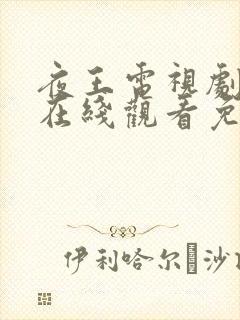 夜王电视剧全集在线观看免费高清封面