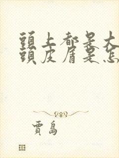 头上都是大块的头皮屑是怎么回事封面