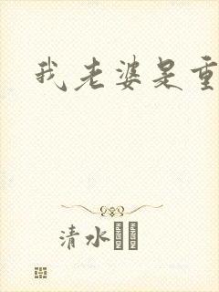 我老婆是重生者