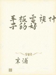 平板电视什么牌子的好