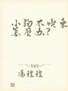 小狗不吃东西该怎么办?