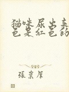 猫咪尿出来的颜色是红色的怎么办