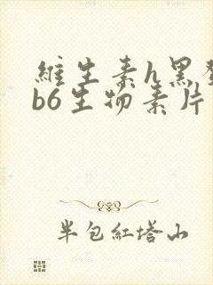 维生素h黑发片b6生物素片白发转黑有作用吗封面