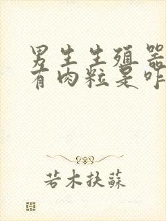 男生生殖器根部有肉粒是咋回事封面